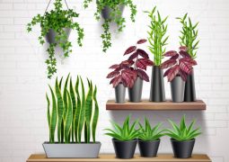 Comment définir le type de pot pour des plantes artificielles ?
